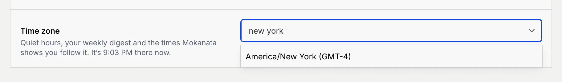 The Time zone field with new york typed and America/New York (GMT-4) in the list below it